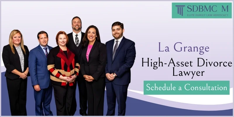 best high-asset divorce lawyer in la grange
